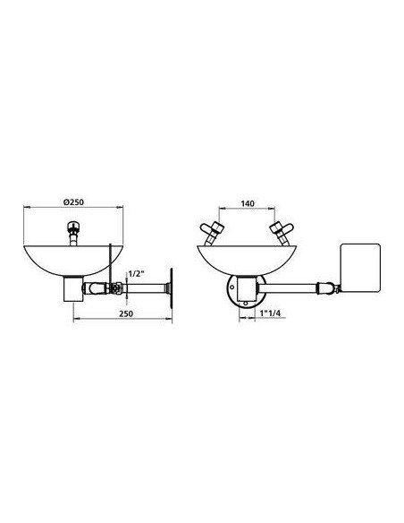 LAVE-YEUX AVEC VASQUE MURAL DELABIE 9102