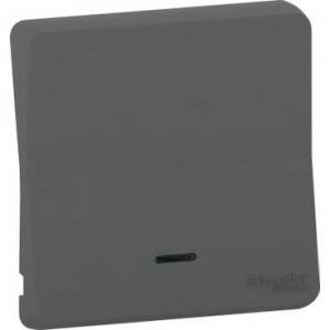 Mureva Styl Enjoliveur avec lentille IP55 IK08 gris SCHNEIDER MUR34204 2