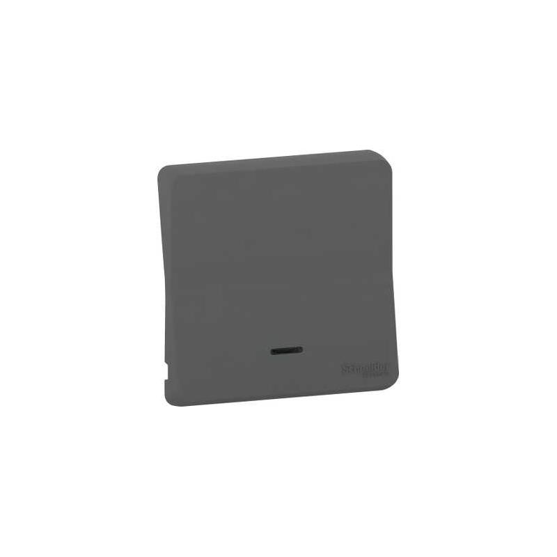 Mureva Styl Enjoliveur avec lentille IP55 IK08 gris SCHNEIDER MUR34204