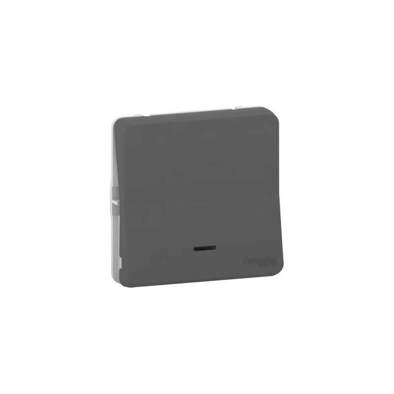 Mureva Styl Bouton poussoir lumineux LED composable IP55 IK08 gris SCHNEIDER MUR35127