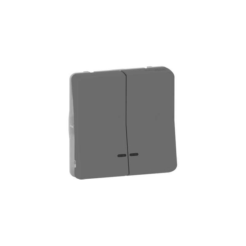 Mureva Styl Dble bouton poussoir lumineux LED composable IP55 IK07 gris SCHNEIDER MUR35228