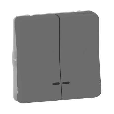 Mureva Styl Dble bouton poussoir lumineux LED composable IP55 IK07 gris SCHNEIDER MUR35228