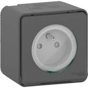 Mureva Styl Prise de courant 2P+T à vis saillie IP55 IK08 gris SCHNEIDER MUR36030 2