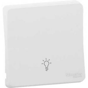 Mureva Styl Enjoliveur avec symbôle lumière IP55 IK08 blanc SCHNEIDER MUR39202 2