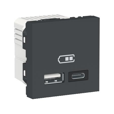 Unica chargeur USB double 5Vcc 2,4A type A+C 2 modul anthr méca seul SCHNEIDER NU301854