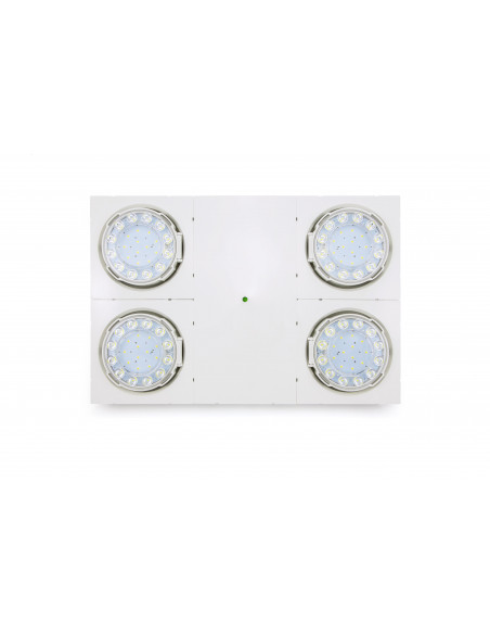 BeamTech 2000 ADR CGLine+ LUMINOX BT4LL-G1ADR