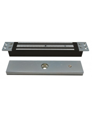 Ventouse encastrée 300 kg ou 600 lbs 12/24 V V300B AIPHONE 100320