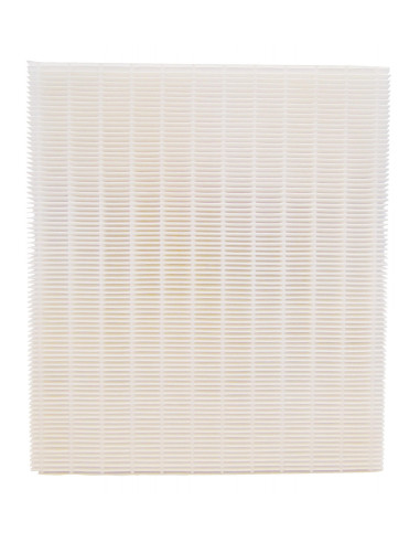 Filtre Aéraulix G4 ATLANTIC 412132