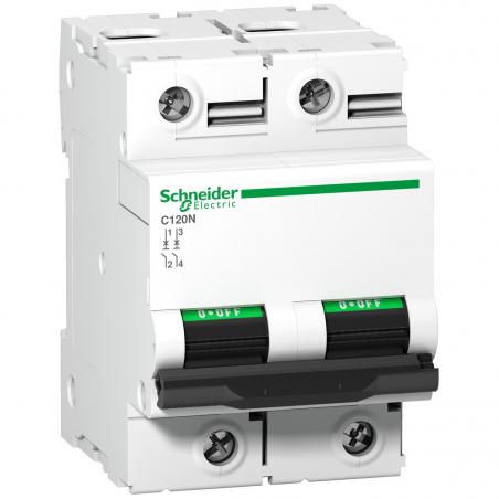 Disjoncteur C120N 2P 125 A courbe C 10 kA SCHNEIDER A9N18363