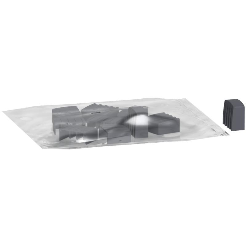 Linergy flasques latérales pour peigne 2P lot de 10 SCHNEIDER A9XPE210