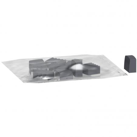 Linergy flasques latérales pour peigne 2P lot de 10 SCHNEIDER A9XPE210