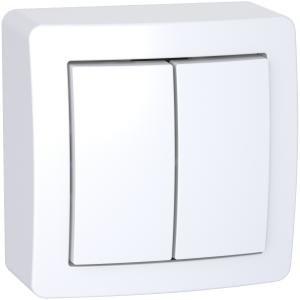Alréa Double va-et-vient avec cadre saillie blanc polaire SCHNEIDER ALB62056P 2