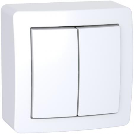 Alréa Double va-et-vient avec cadre saillie blanc polaire SCHNEIDER ALB62056P