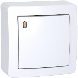 Alréa Va-et-vient lumineux forte luminosité avec cadre saillie blanc polaire SCHNEIDER ALB62057P 2
