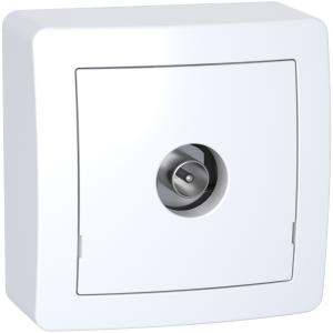 Alréa Prise TV simple mâle blindée 1 sortie avec cadre saillie blanc polaire SCHNEIDER ALB62311P 2