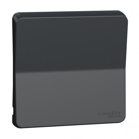 Mureva Styl Enjoliveur avec symbôle sonnette IP55 IK08 gris SCHNEIDER MUR34201