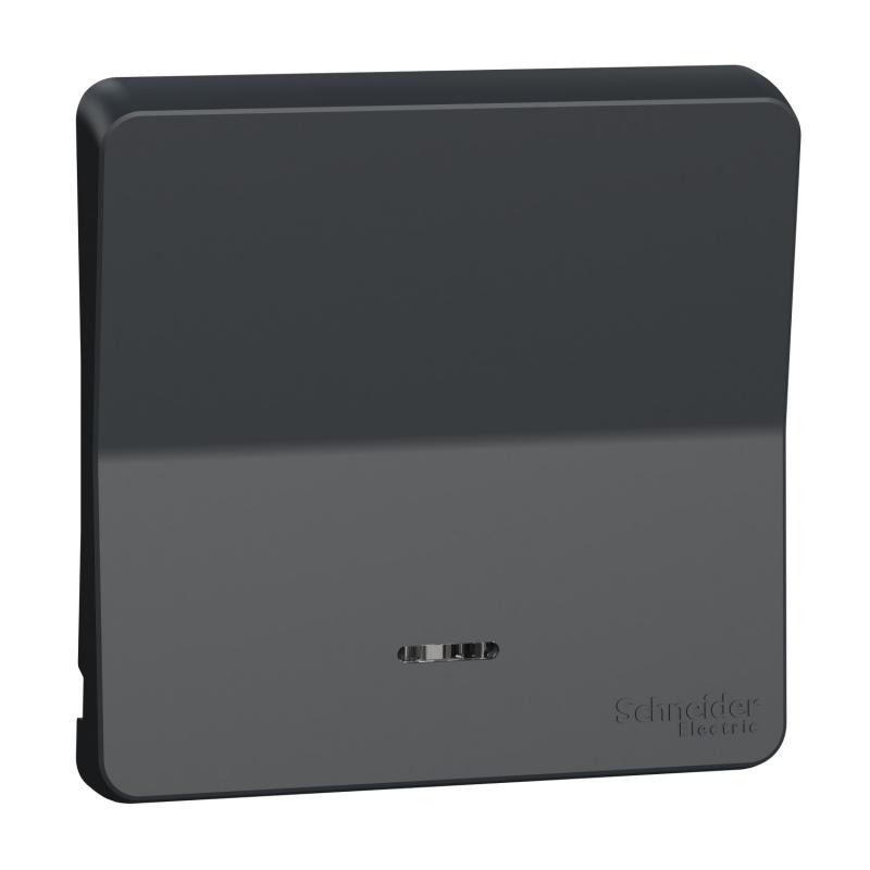 Mureva Styl Enjoliveur avec lentille IP55 IK08 gris SCHNEIDER MUR34204