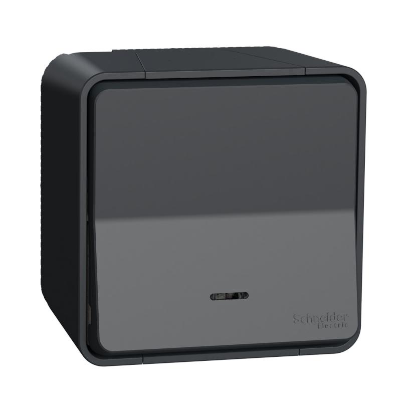 Mureva Styl Va et vient lumineuxLED saillie IP55 IK08 connex auto gris SCHNEIDER MUR35024