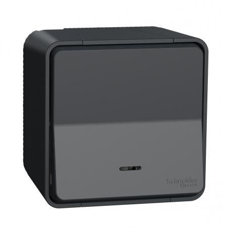 Mureva Styl Va et vient lumineuxLED saillie IP55 IK08 connex auto gris SCHNEIDER MUR35024