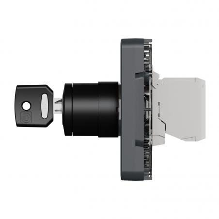 Mureva Styl Interrupteur à clé 2 positions composable IP55 IK07 gris SCHNEIDER MUR35062