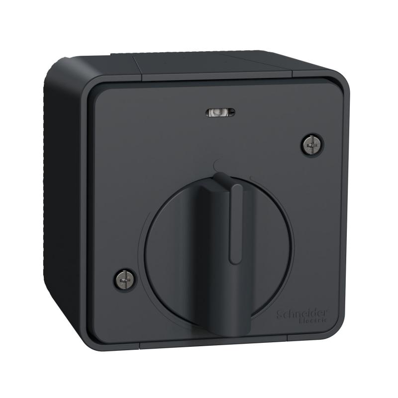 Mureva Styl Interrupteur temporisé LED saillie IP55 IK08 gris SCHNEIDER MUR35067
