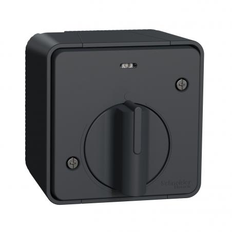 Mureva Styl Interrupteur temporisé LED saillie IP55 IK08 gris SCHNEIDER MUR35067