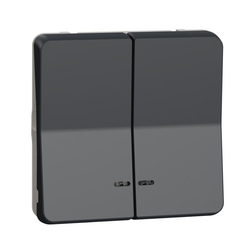 Mureva Styl Dble bouton poussoir lumineux LED composable IP55 IK07 gris SCHNEIDER MUR35228