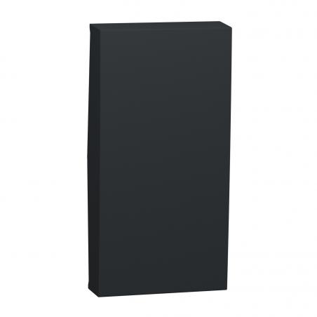 Unica enjoliveur interrupteur ou bouton-poussoir 1 mod Anthracite SCHNEIDER NU910054