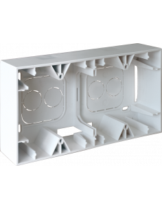 Lot de 100 SQUARE cadre saillie 2 postes EUR'OHM 60281