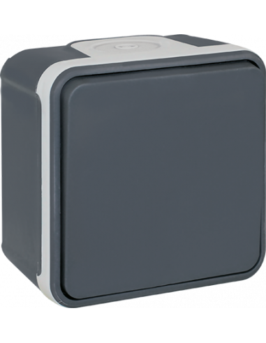 OXXO Va/Vient GRIS SAILLIE IP55 EUR'OHM 60800