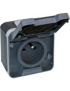 OXXO Prise de courant 2P+T GRIS SAILLIE IP55 EUR'OHM 60840