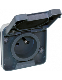 OXXO Prise de courant 2P+T compos GRIS IP55 EUR'OHM 60845