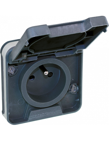 OXXO Prise de courant 2P+T GRIS SAILLIE IP55 EUR'OHM 60895