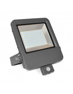 PROJECT LED VISION EL 230 V 100 W 4000°K PLAT GRIS + DETECT IP65 MIIDEX VISION EL 80353