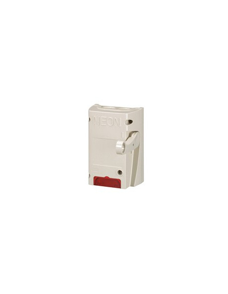 Coffret coupure pour enseigne lumineuse inter pompier bipolaire 16A 250V équipé d'un voyant LEGRAND 038050