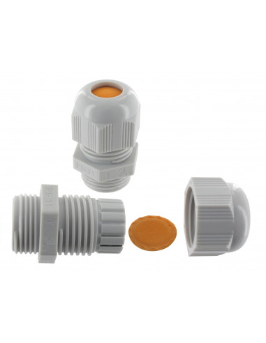 Presse-étoupe polyamide BASIC Pg 29 (18-25mm) BLM 108292