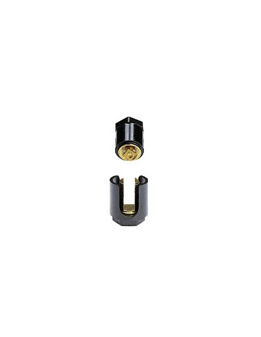 BORNE SANS PATTE 2X10 LEGRAND 034031
