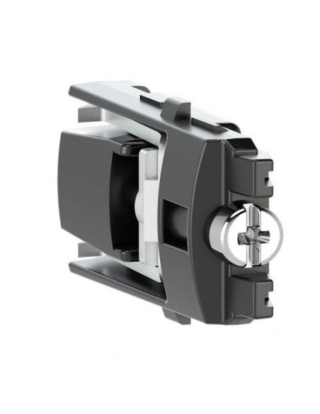Lot de 2 griffes de fixation profondeur 40mm pour appareillage Altège BTICINO BTAL0001