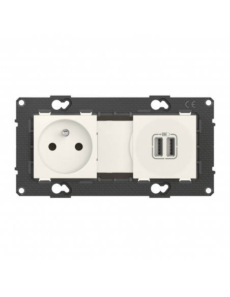 Prise de courant 16A + chargeur 2 USB 2,4A précâblées Altège finition Neige BTICINO BTAL31DD
