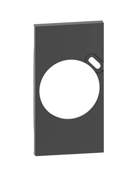 Living Now enjoliveur 2 modules prise FR+USB noir BTICINO BTKG62
