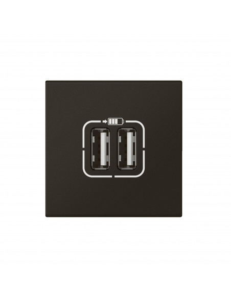 Chargeur 2 USB Type-A 2,4A 5V 12W Mosaic 2 modules 230V noir mat LEGRAND 079194L