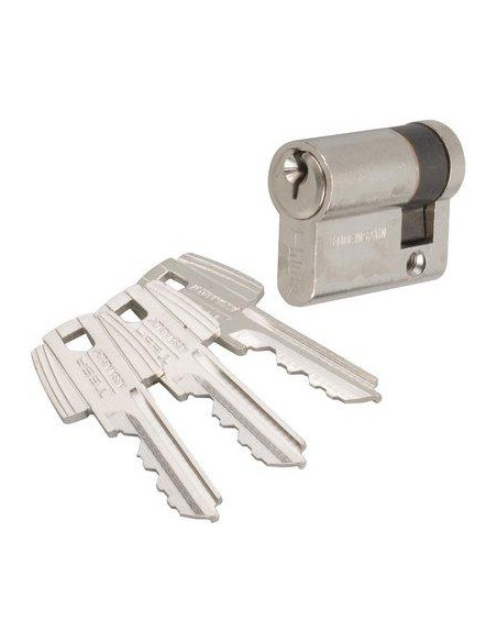 CYL.TESA NICK.SIMP.VARIE 30X10 Tesa Assa Abloy 50303010N