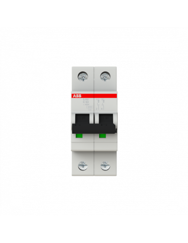 Disjoncteur S202 2P 63A Courbe C Raccordement à vis - 10KA (2Modules) 2CDS252001R0634 ABB 352244