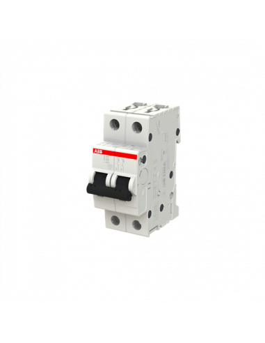 Disjoncteur S202 2P 63A Courbe C Raccordement à vis - 10KA (2Modules) 2CDS252001R0634 ABB 352244