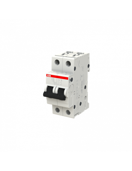 Disjoncteur S202 2P 63A Courbe C Raccordement à vis - 10KA (2Modules) 2CDS252001R0634 ABB 352244
