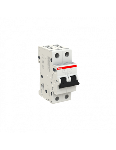 Disjoncteur S202 2P 63A Courbe C Raccordement à vis - 10KA (2Modules) 2CDS252001R0634 ABB 352244