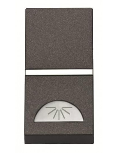Zenit Poussoir No 1 Module Avec Symbole Lumiere Anthracite 2CLA210420N1801 ABB N2104.2AN