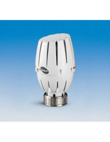 Tête thermostatique PETTINAROLI 107L