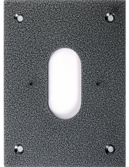 Façade inox pour integration BPNONF60 BPNONFE60 BPNONF60C et BPNONF60CV dans potelet PA1201. AIPHONE PFBP60 140008