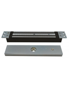 Ventouse encastrée 300 kg ou 600 lbs 12/24 V V300B AIPHONE 100320 2